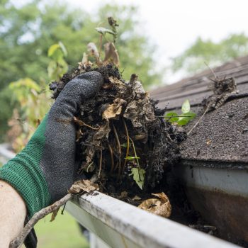 Cleaning gutters during the summer time.